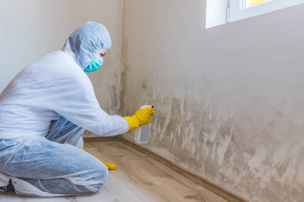Licensed Crawl Space Mold Removal service in Germantown, MD - WQB Mold Removal