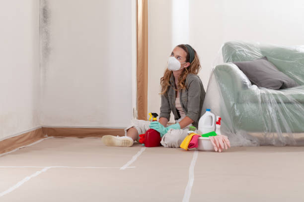 Reliable Crawl Space Mold Removal contractor in Germantown, MD by WQB Mold Removal